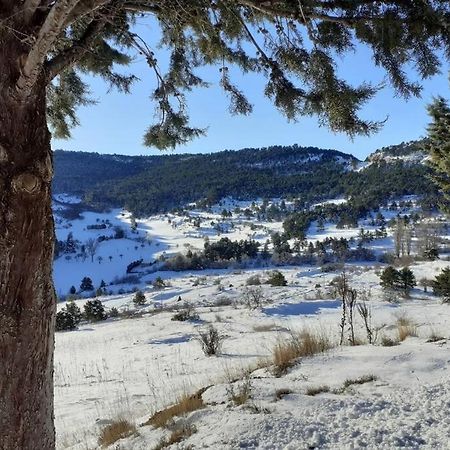 APARTAMENTO SOLANO - VIRGEN DE LA VEGA - ALCALÁ IDEAL MONTAñA Y RELAX Teruel Exterior foto