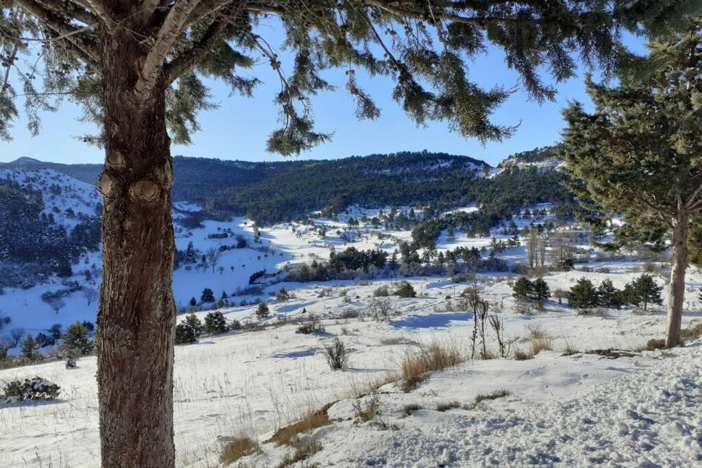 APARTAMENTO SOLANO - VIRGEN DE LA VEGA - ALCALÁ IDEAL MONTAñA Y RELAX Teruel Exterior foto
